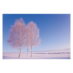 겨울배경현수막 6320 눈들판 어린이집 180×120cm