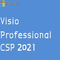 MS Visio Pro 2021 CSP 영구라이선스 [기업용/하위버전사용가능] 비지오