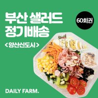 (데일리팜)부산,양산 샐러드 정기배송 60회권