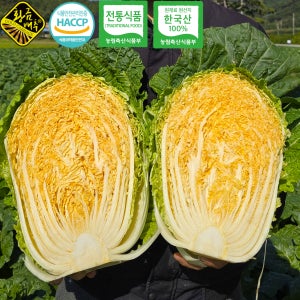 [100%국산] 생생정보 방영 해남 황금배추로 만든 절임배추 20KG