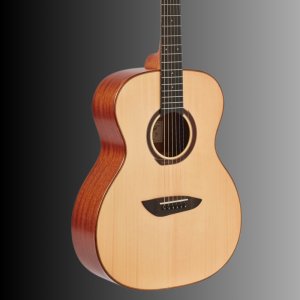 [NEW 사은품] 고퍼우드 G210 SP