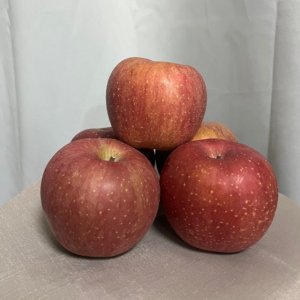 5kg 부사 사과 해발600m 장기간 두고 먹을 수 있는 부사(후지)사과