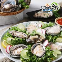 완도 다시마 활 전복 1kg 중 대 특