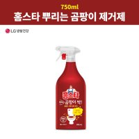 LG생건 홈스타 화장실 곰팡이 제거 벽 벽지 욕실 곰팡이 제거제 750ml