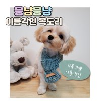 강아지 고양이 손뜨개목도리 이름케이프 스카프 가죽라벨 각인