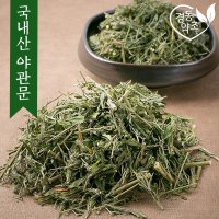 경동약초 국산 야관문 100g 300g 600g 자연산 건 비수리 말린야관문