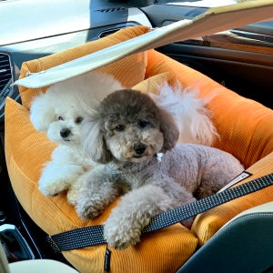 두그루 강아지카시트 차량용 애견 차시트 [올라운드L 드라이빙킷- 펌킨] 그늘막포함
