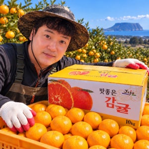 제주 고당도 타이벡 노지감귤 가정 단체 급식 선물 10kg