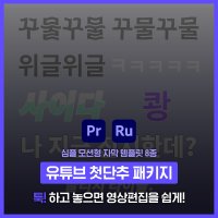 [유튜브 첫단추 패키지] 다이나믹 모션형 자막 템플릿(8종) #비디오쿠키