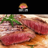 미트랭 솔트에이징 소고기 단품 등심 부채살 살치살 안심 꽃갈비살 150g