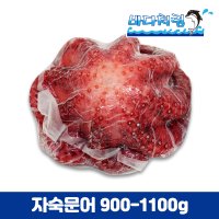 자숙문어 필리핀 900-1100g 마리 제수용 숙회용 데친문어 냉동