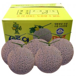 나주 세론이4-5개입메론 고당도13브릭스 명절부모님선물