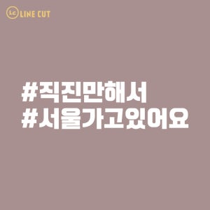 라인컷 직진만해서 서울가고있어요 초보운전 해시태크 STLT-001 데칼 스티커