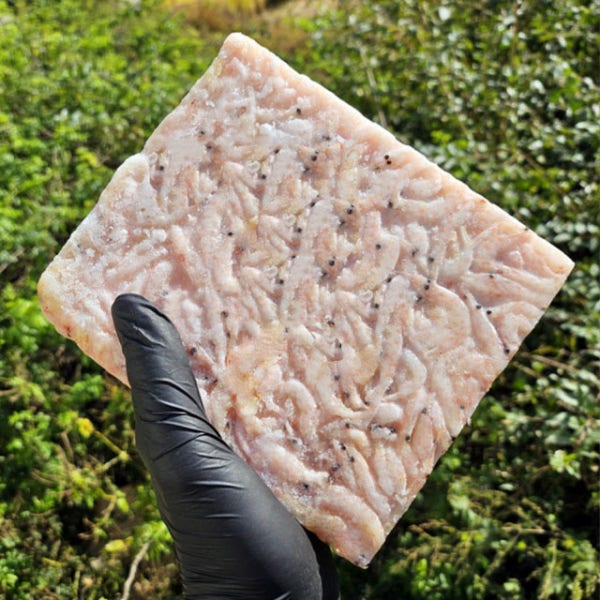 동원 밑밥크릴 에이급 L사이즈 1.5kg 1장 낚시 크릴새우 밑밥 집어제 이중포장