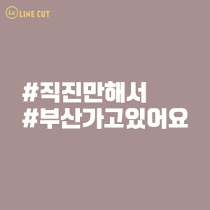 라인컷 직진만해서 부산가고있어요 초보운전 해시태크 STLT-002 데칼 스티커
