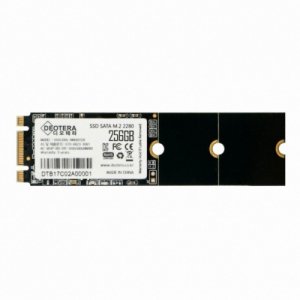 디오테라 VIVA 300S LITE M.2 2280 256GB SSD