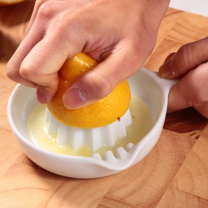 셀렉트100 도자기 세라믹 레몬착즙기