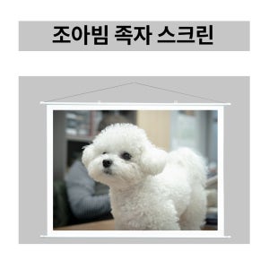 조아빔 족자형 스크린 빔프로젝터스크린 60인치 80인치