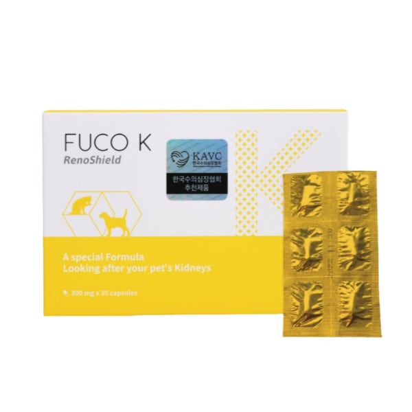 [리뷰이벤트] 후코 K (후코케이 360mg 30캡슐)
