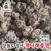 100% 자연산 강원도 정선 개다래 열매 충영 충령 개다래충영 목천료 국내산 250g