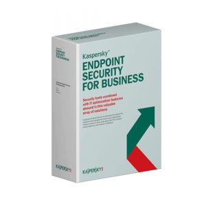 Kaspersky Endpoint Security for Workstation 기업용 (31User 이상구매) / 1년