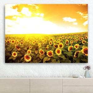 해바라기액자 120x80cm 돈들어오는 벽인테리어 대형 거실 벽 황금빛노을과 해바라기들판
