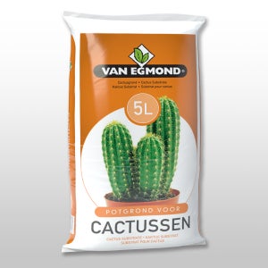 네덜란드산 선인장 다육식물 전용 고급 상토 피트모스 5리터 - 큐가든
