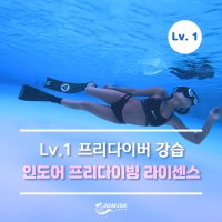 오션스타 Lv1 프리다이빙 스노쿨링 해루질 자격증 교육강습 [인도어 프리다이버 라이센스]