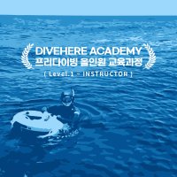 (숙박포함) PADI 제주도 프리다이빙 올인원 강사과정 (Level 1 to Instructor)