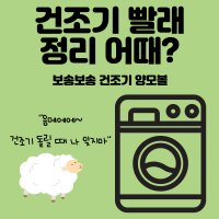 천연양모볼 건조기양털볼 울볼 빨래건조기 양모건조볼 빨래공