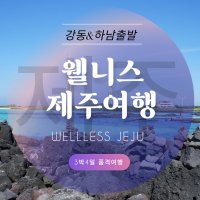 [강동&하남출발] [웰니스 제주도여행]