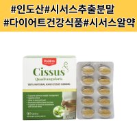 파이오라 인도산 시서스 추출 알약 90정 체지방 체중감량 CISSUS 씨져스 다이어트