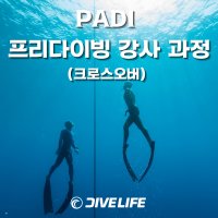 [다이브라이프] AFIA 프리다이버 강사 과정 / PADI 프리다이버 강사 과정 서울 프리다이빙 강습/ 교육 [크로스오버]