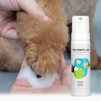 아인솝 워터리스 샴푸 200ml 강아지 발샴푸 고양이 겸용 물없이사용 수술후 세정용이