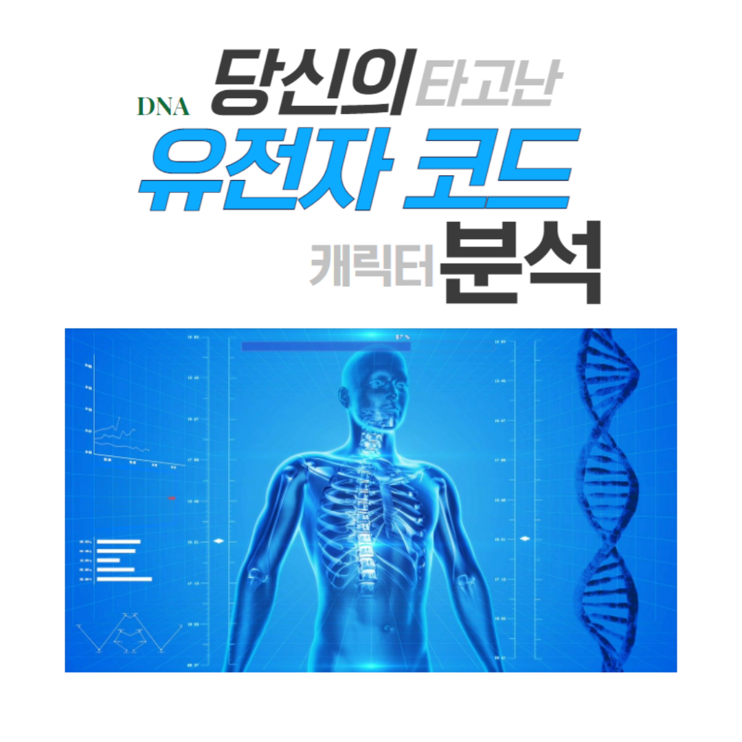 1단계 - 유전자 코드 분석 [자기 사용 설명서] 1대1 컨설팅