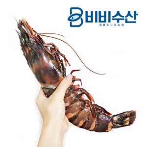 킹타이거새우 최저가 가성비상품