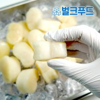 냉동 키조개관자 1kg 가이바시 삼합 버터구이