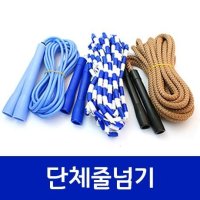 [뉴욕개구리] 대일스포츠 줄넘기 (PVC/구슬/나일론)(6M/8M/10M) 이훈이지텐 발목줄넘기다이소 피티즘멀티줄넘기 포디움줄넘기 점핏