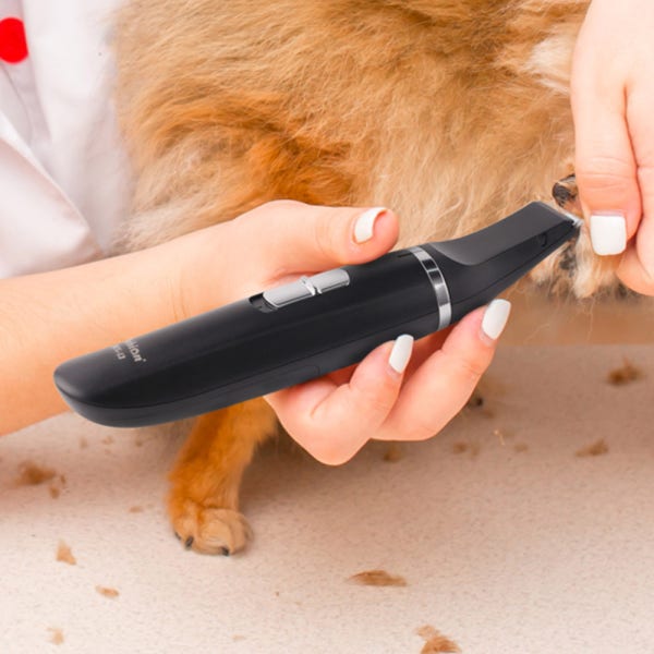 바비온 풋마스터 BCG-13 고양이 강아지 발바닥 미용기 바리깡 이발기 클리퍼 부분 위생 미니 발미용 강아지위생미용