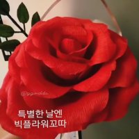 빅플라워LED장미꽃(토퍼글씨포함) 팬클럽선물 이벤트선물