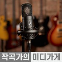 WARM AUDIO WA8000 웜오디오 진공관 콘덴서 마이크 소니 C800G 복각