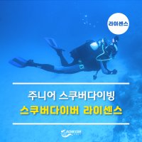 오션스타 주니어 스킨스쿠버 스쿠버다이빙 자격증 교육 강습 [부산/울산]