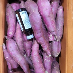 못난이 꿀 밤 고구마 10kg 베니하루카 군 확 찐 고구마