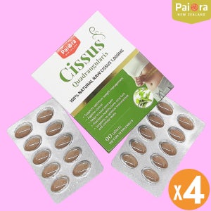 파이오라 시서스알약 인도산 시서스캡슐 1000mg 90정 x4