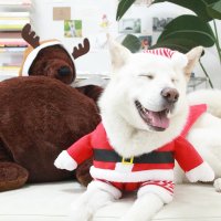 강아지 고양이 대형견 크리스마스 산타 옷 망토 코스튬 코스프레 겨울옷
