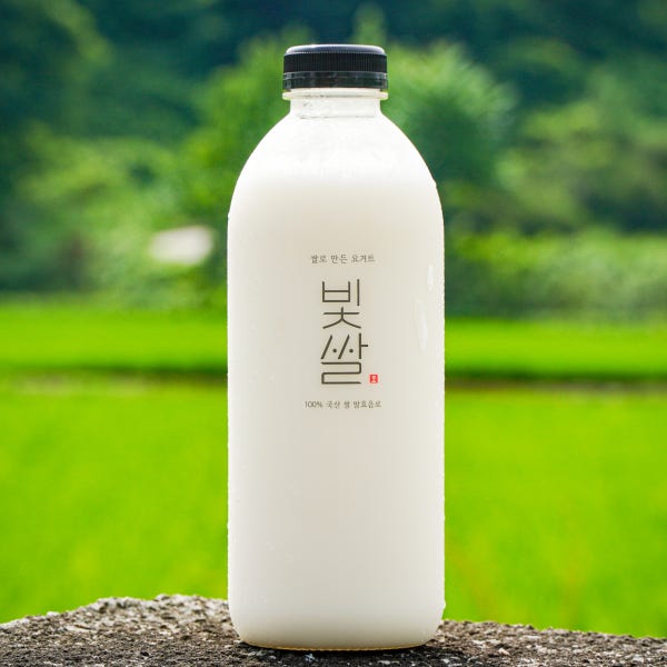 빛쌀 쌀 누룩 비건 요거트 식물성 유산균 음료 대용량 플레인 1L