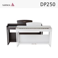 삼익디지털피아노 DP250/DP-250