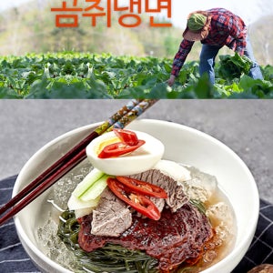 무료배송 곰취아빠의 곰취 물냉면 비빔냉면 10인분
