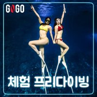 프리다이빙 체험 강습 인천 송도 일산