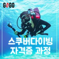 스킨스쿠버 스쿠버다이빙 강습 오픈워터 어드벤스 자격증 인천 송도 일산